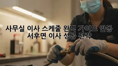 사무실 이사, 스케줄 완벽 가이드! 안동 서후면 이사 성공 전략