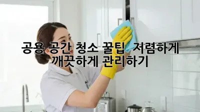공용 공간 청소 꿀팁! ✨ 저렴하게 깨끗하게 관리하기